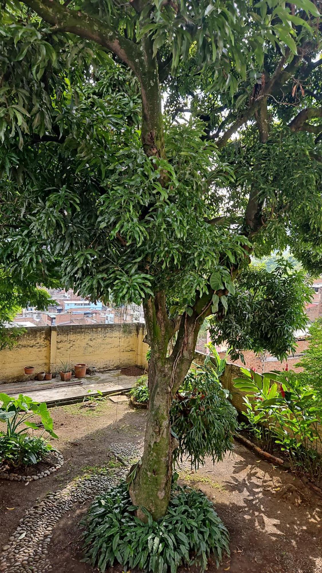 Casa Alba Hotel Cali Kültér fotó